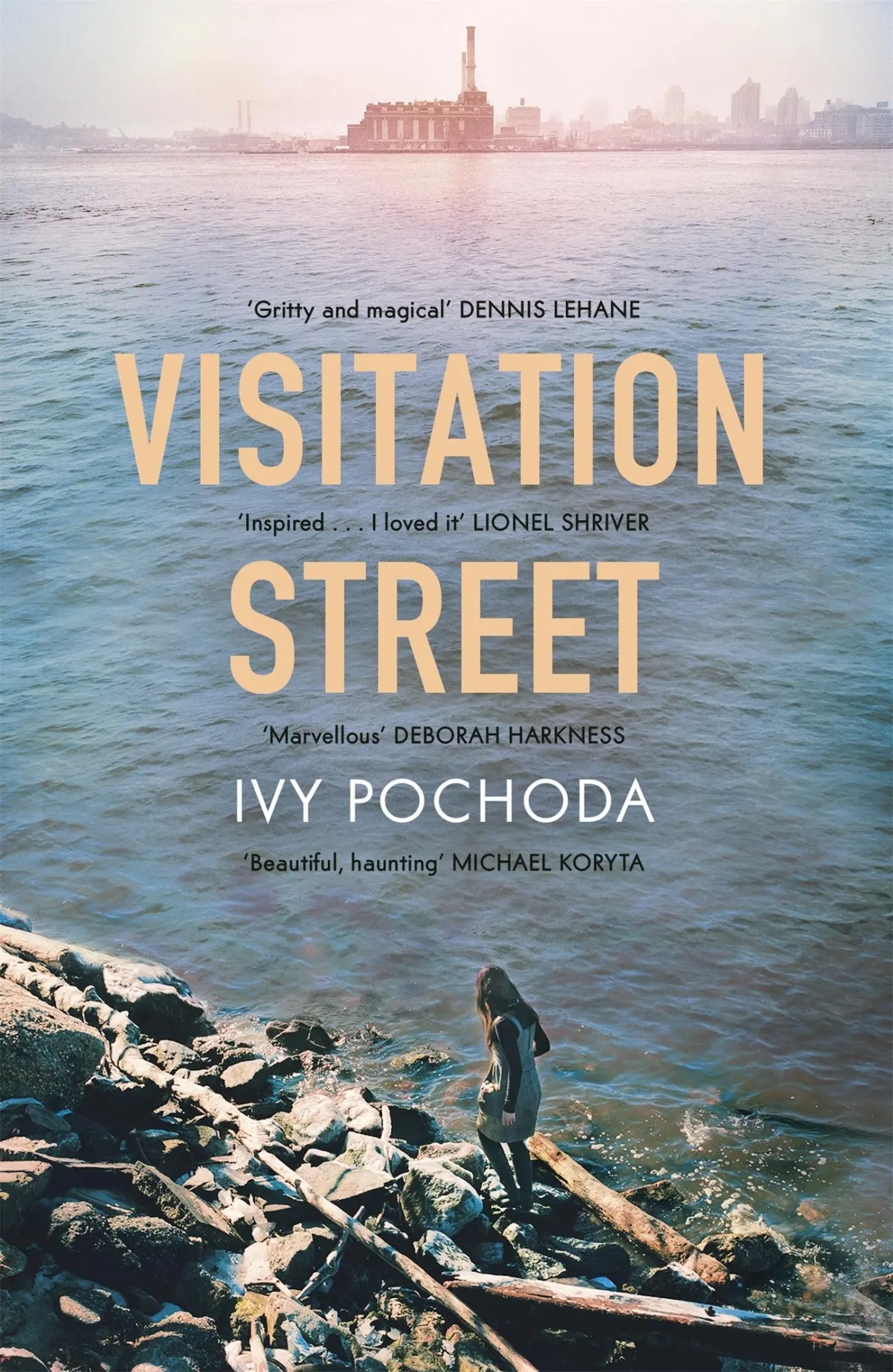 Cover: 9781444778274 | Visitation Street | Ivy Pochoda | Taschenbuch | Englisch | 2014