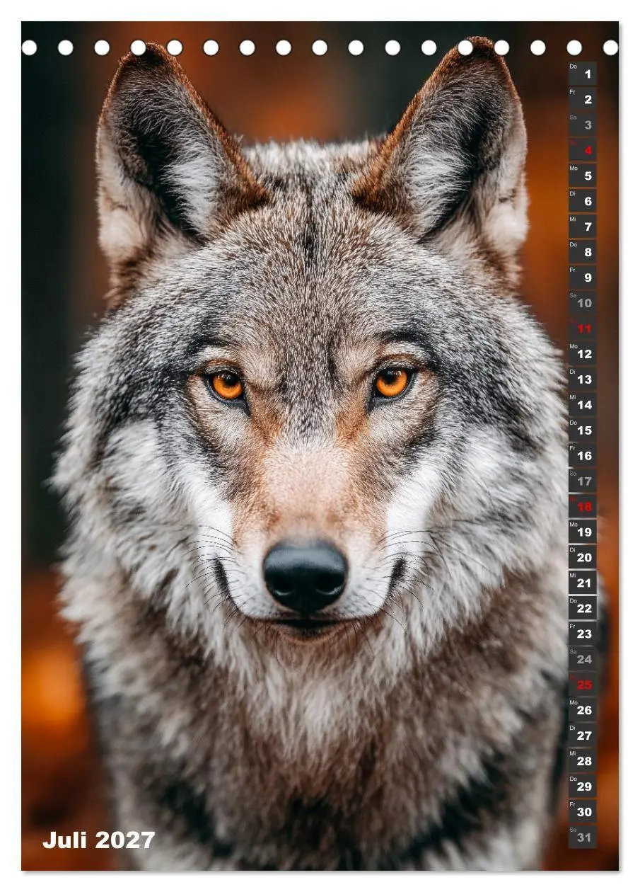 Bild: 9783516918274 | Wölfe aus aller Welt (Tischkalender 2027 DIN A5 hoch), CALVENDO...
