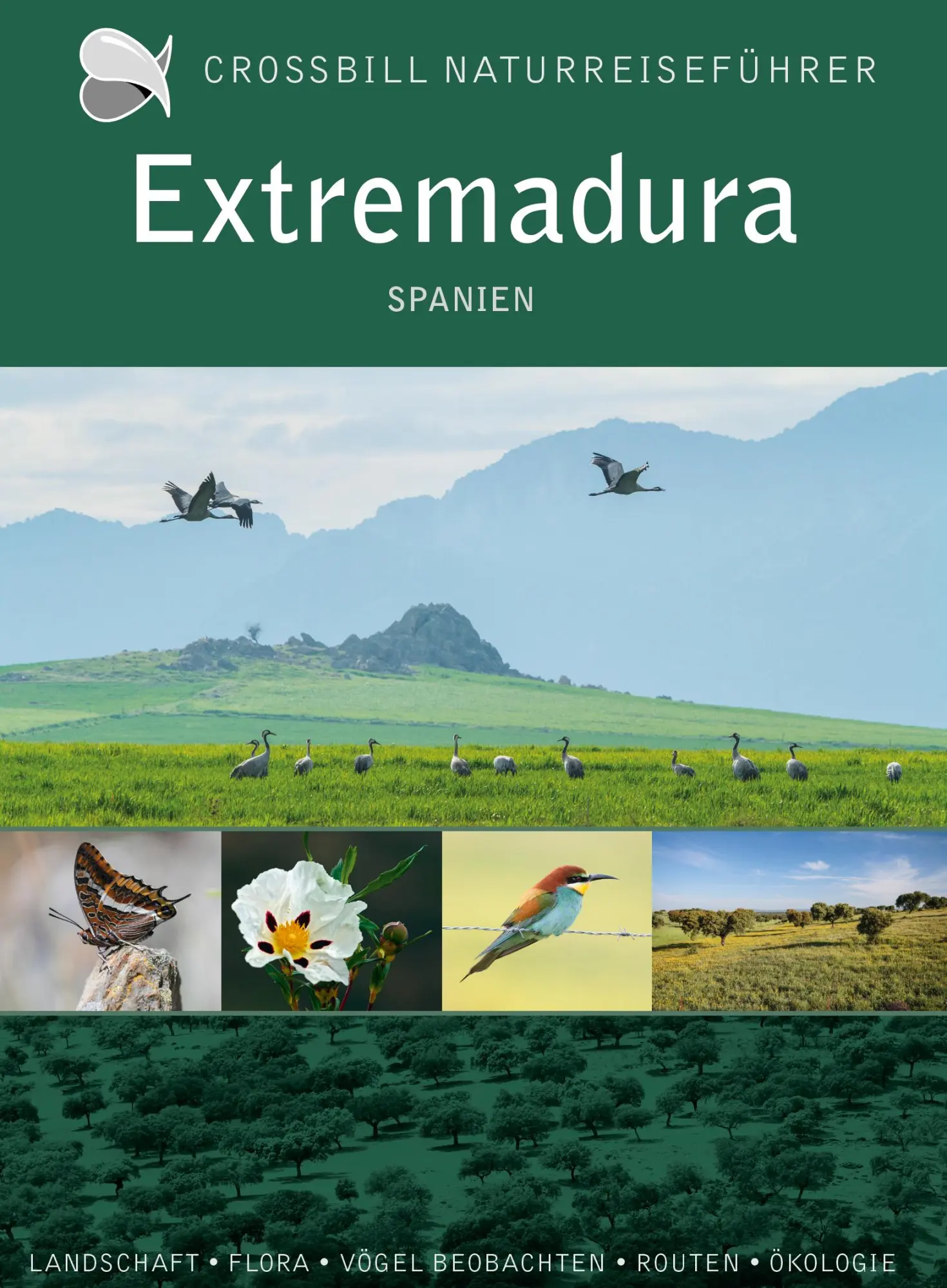 Cover: 9789491648274 | Extremadura | Naturreiseführer Spanien | Dirk Hilbers | Taschenbuch
