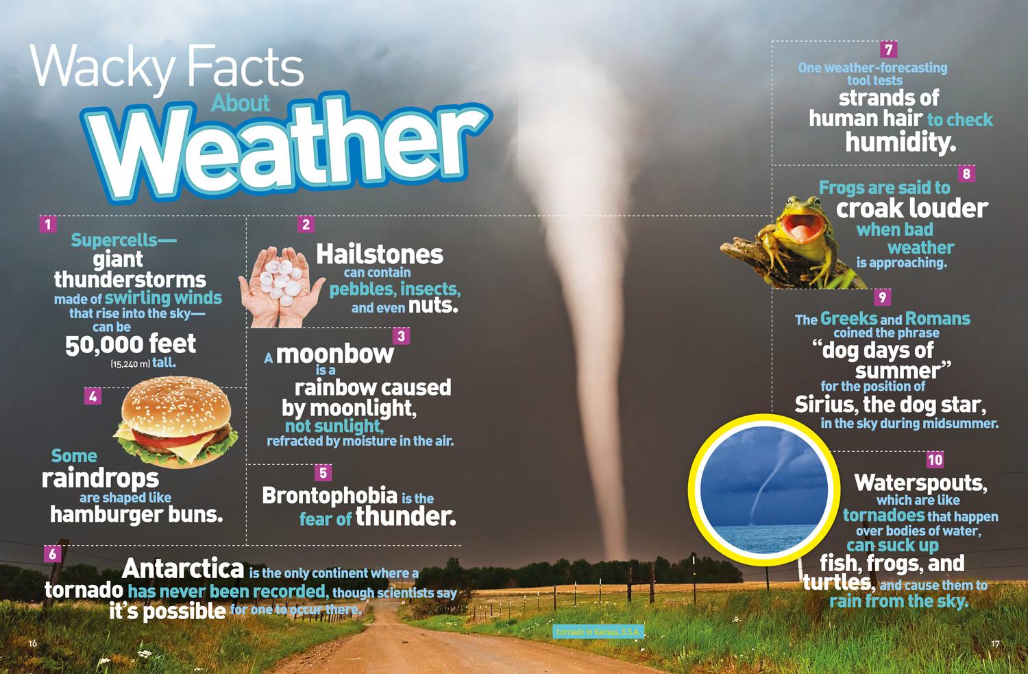 Bild: 9781426328374 | Bet You Didn't Know! | National Geographic Kids | Buch | Englisch