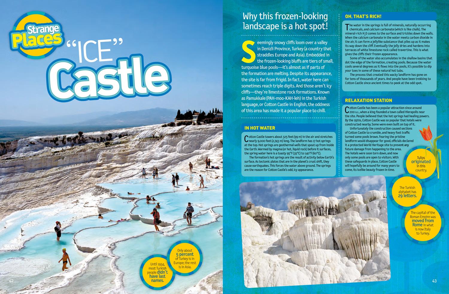 Bild: 9781426328374 | Bet You Didn't Know! | National Geographic Kids | Buch | Englisch