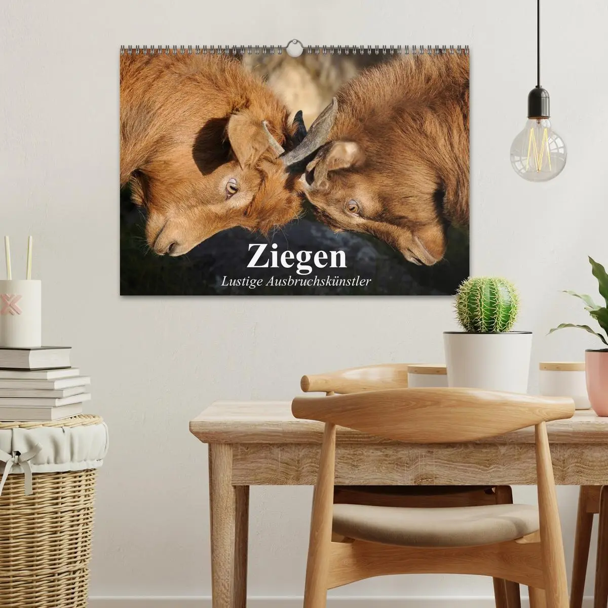 Bild: 9783457988374 | Ziegen. Lustige Ausbruchskünstler (Wandkalender 2026 DIN A3 quer),...