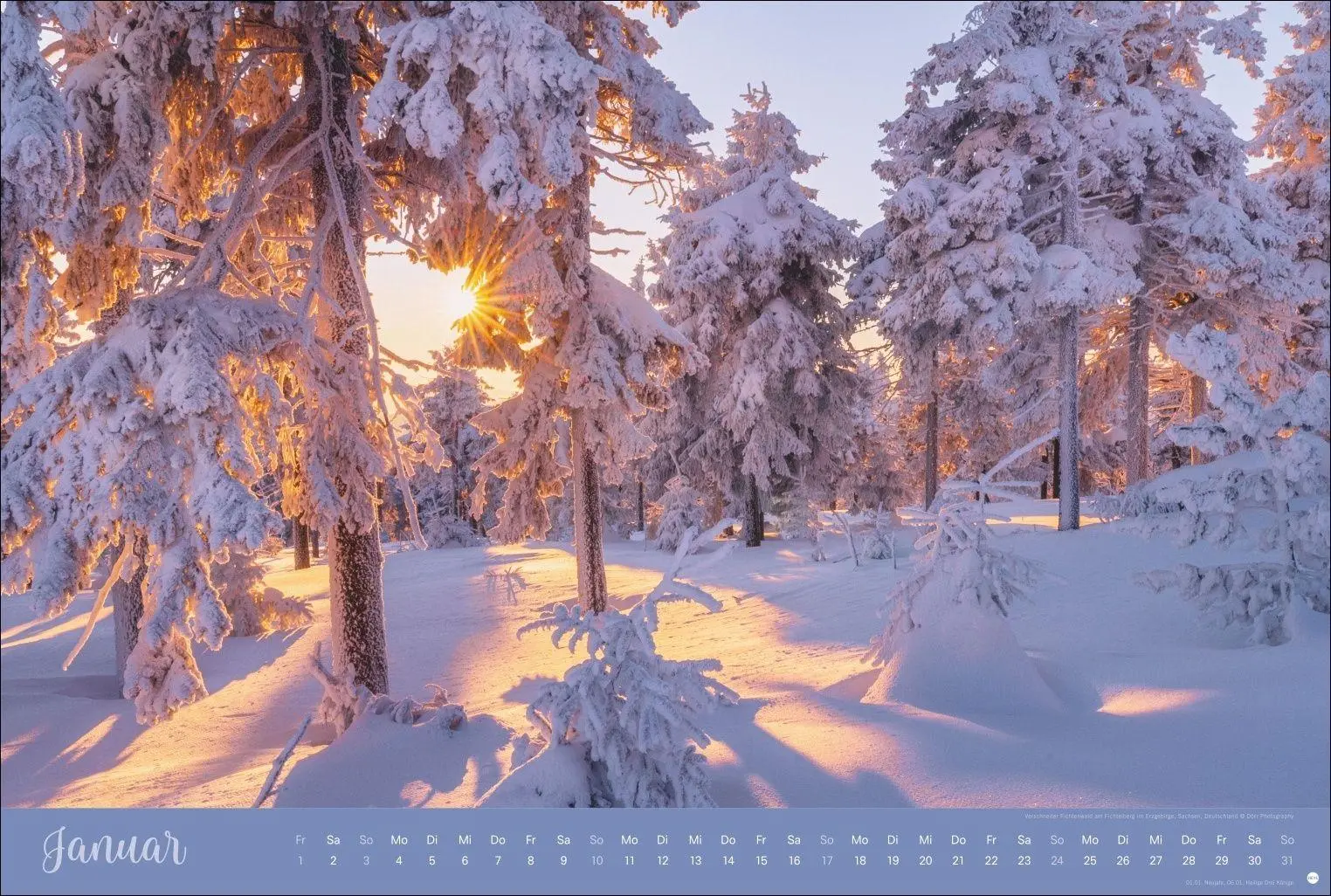 Bild: 9783756418374 | Zauberwälder Edition Kalender 2027 | Heye | Kalender | Spiralbindung