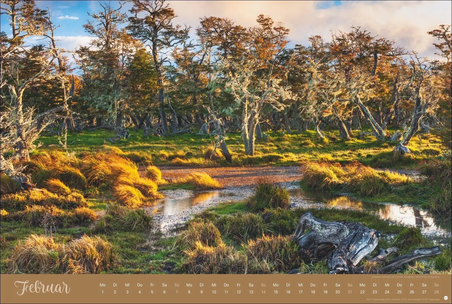Bild: 9783756418374 | Zauberwälder Edition Kalender 2027 | Heye | Kalender | Spiralbindung