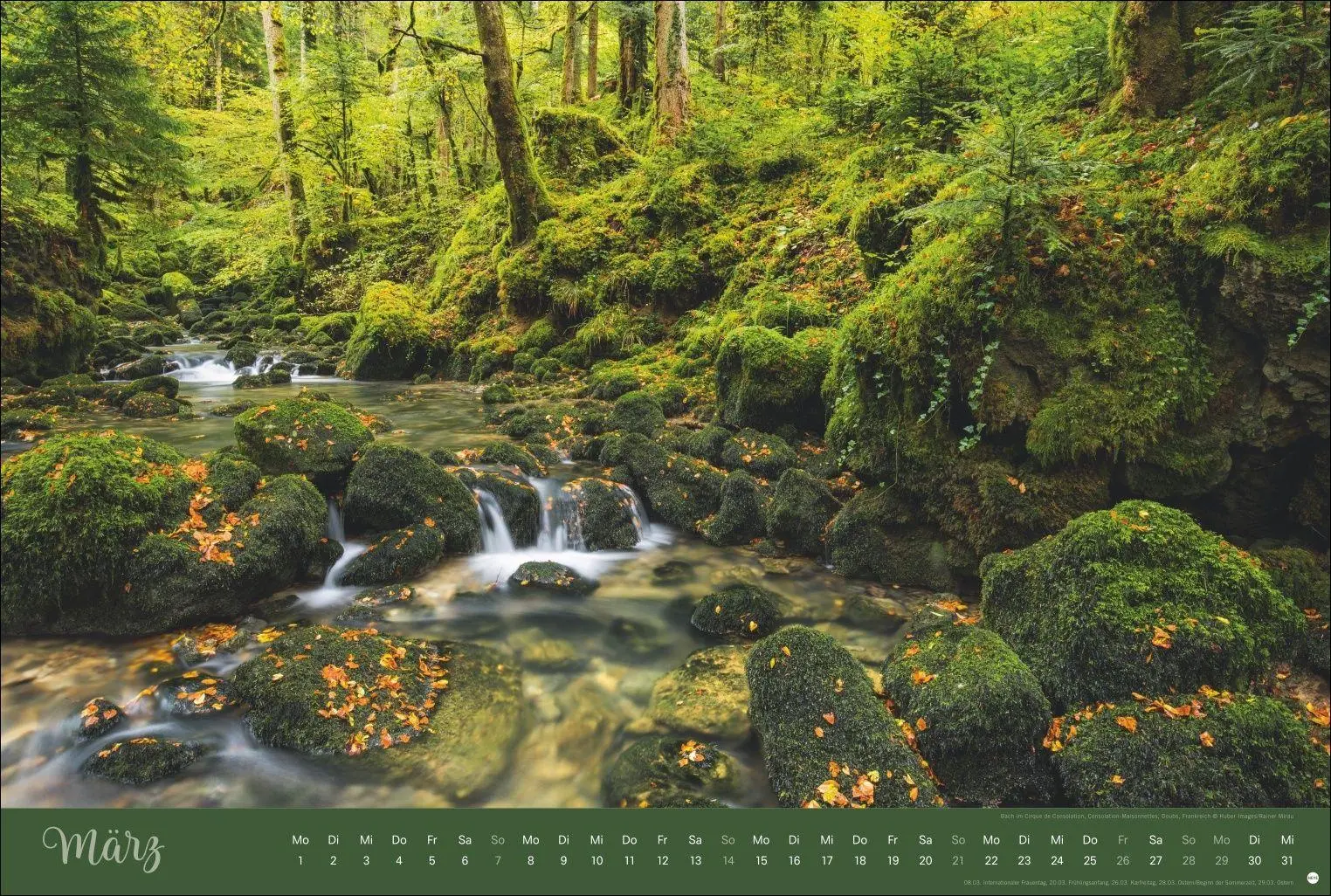 Bild: 9783756418374 | Zauberwälder Edition Kalender 2027 | Heye | Kalender | Spiralbindung
