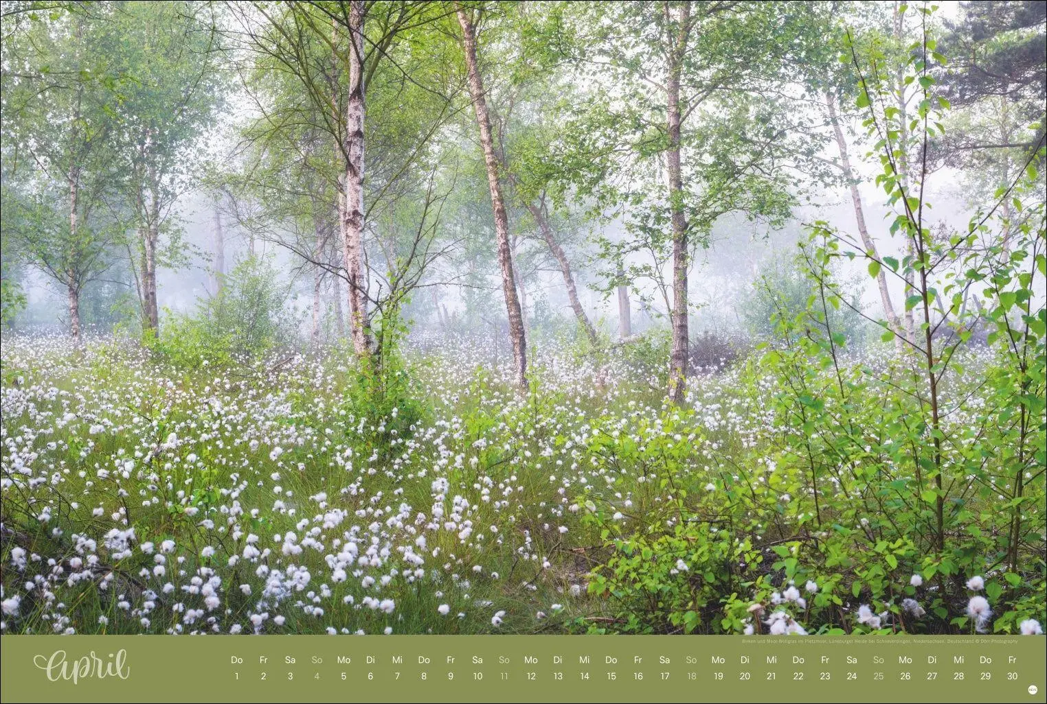Bild: 9783756418374 | Zauberwälder Edition Kalender 2027 | Heye | Kalender | Spiralbindung
