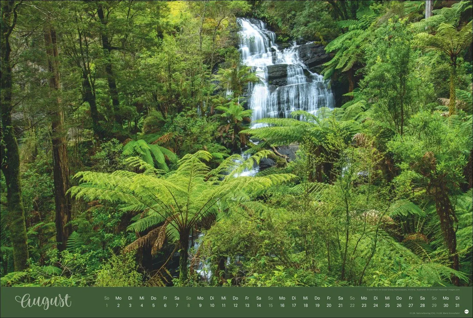 Bild: 9783756418374 | Zauberwälder Edition Kalender 2027 | Heye | Kalender | Spiralbindung