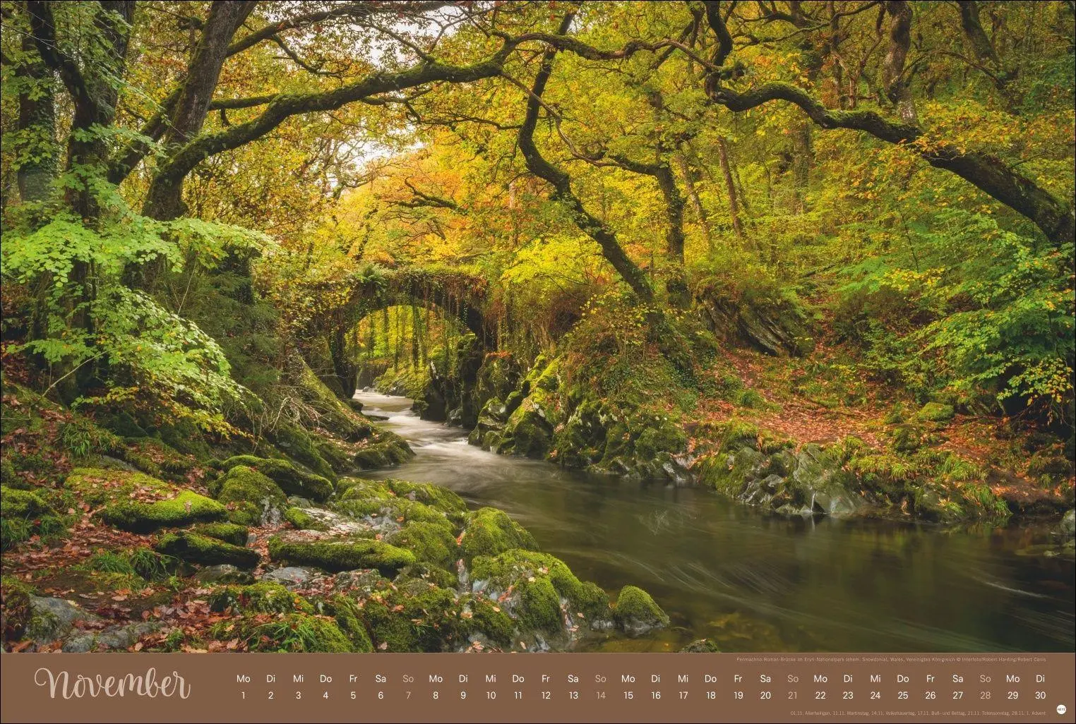 Bild: 9783756418374 | Zauberwälder Edition Kalender 2027 | Heye | Kalender | Spiralbindung