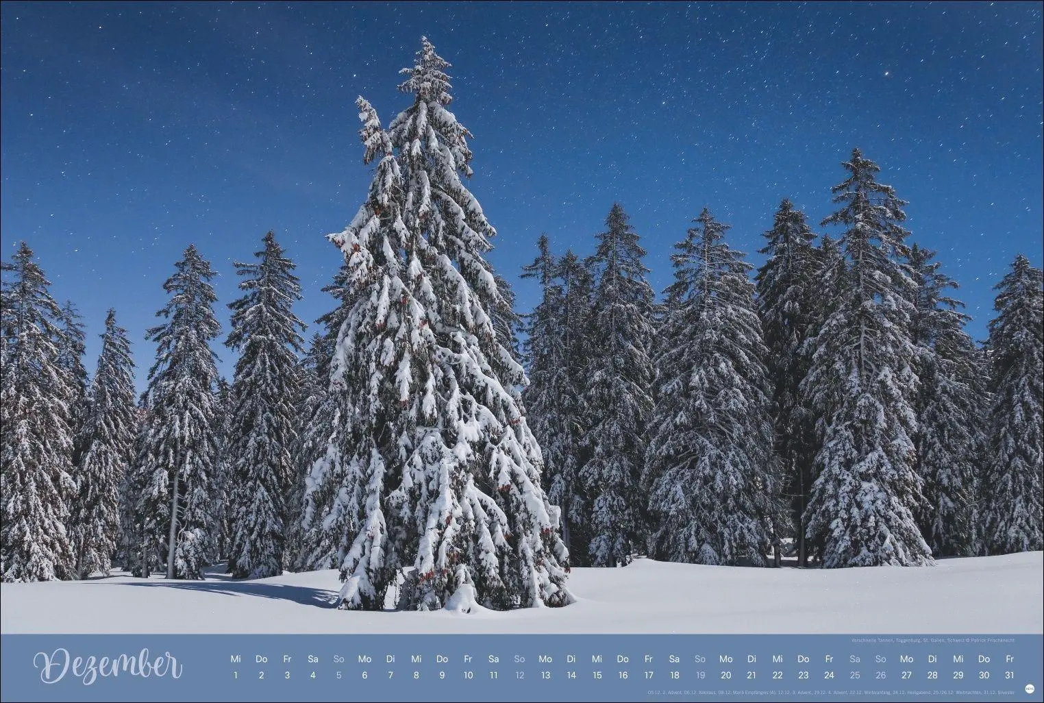 Bild: 9783756418374 | Zauberwälder Edition Kalender 2027 | Heye | Kalender | Spiralbindung