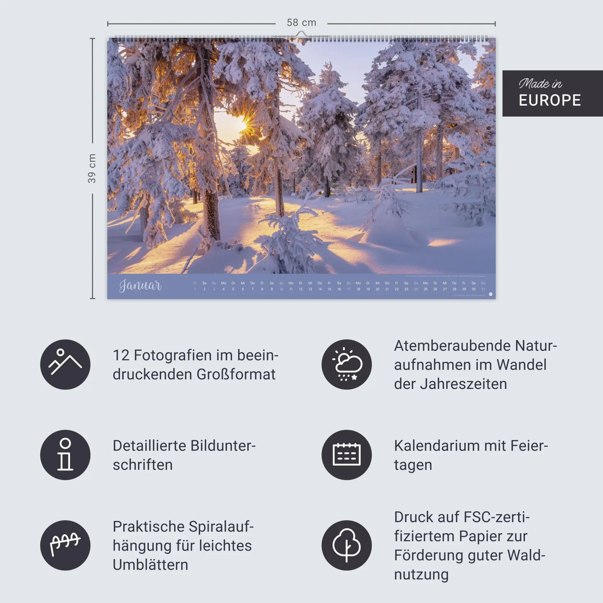 Bild: 9783756418374 | Zauberwälder Edition Kalender 2027 | Heye | Kalender | Spiralbindung