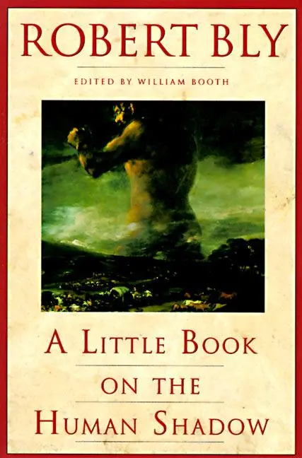 Cover: 9780062548474 | A Little Book on the Human Shadow | Robert Bly | Taschenbuch | 2022