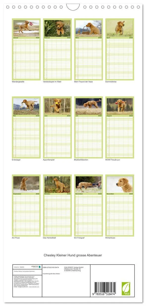 Bild: 9783516518474 | Familienplaner 2026 - Chesley Kleiner Hund grosse Abenteuer mit 5...