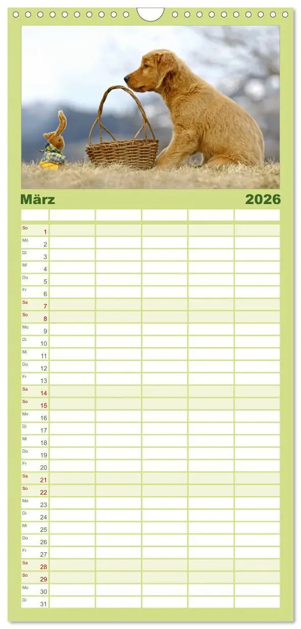 Bild: 9783516518474 | Familienplaner 2026 - Chesley Kleiner Hund grosse Abenteuer mit 5...