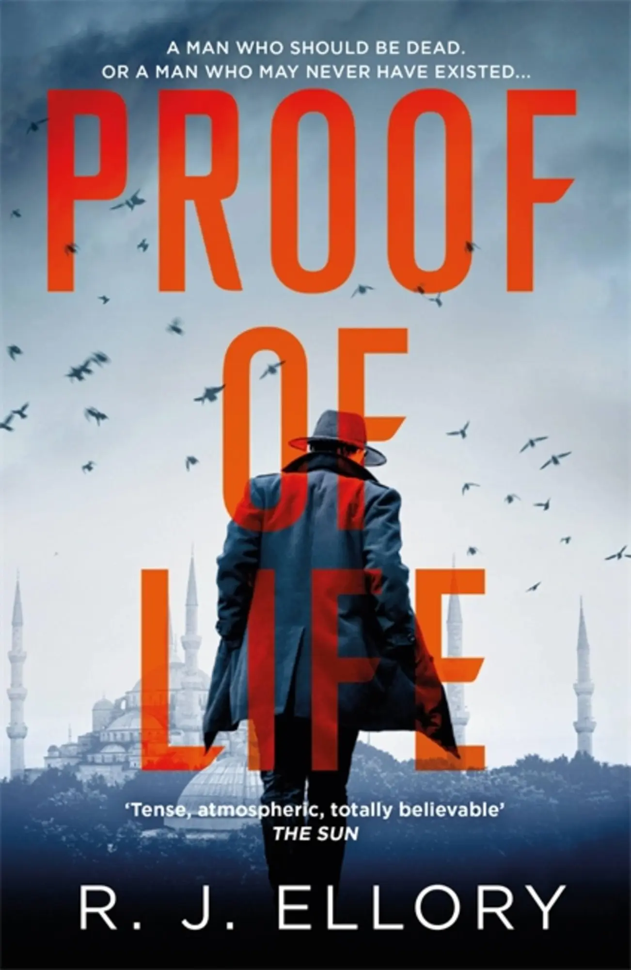 Cover: 9781409198574 | Proof of Life | R. J. Ellory | Taschenbuch | Kartoniert / Broschiert