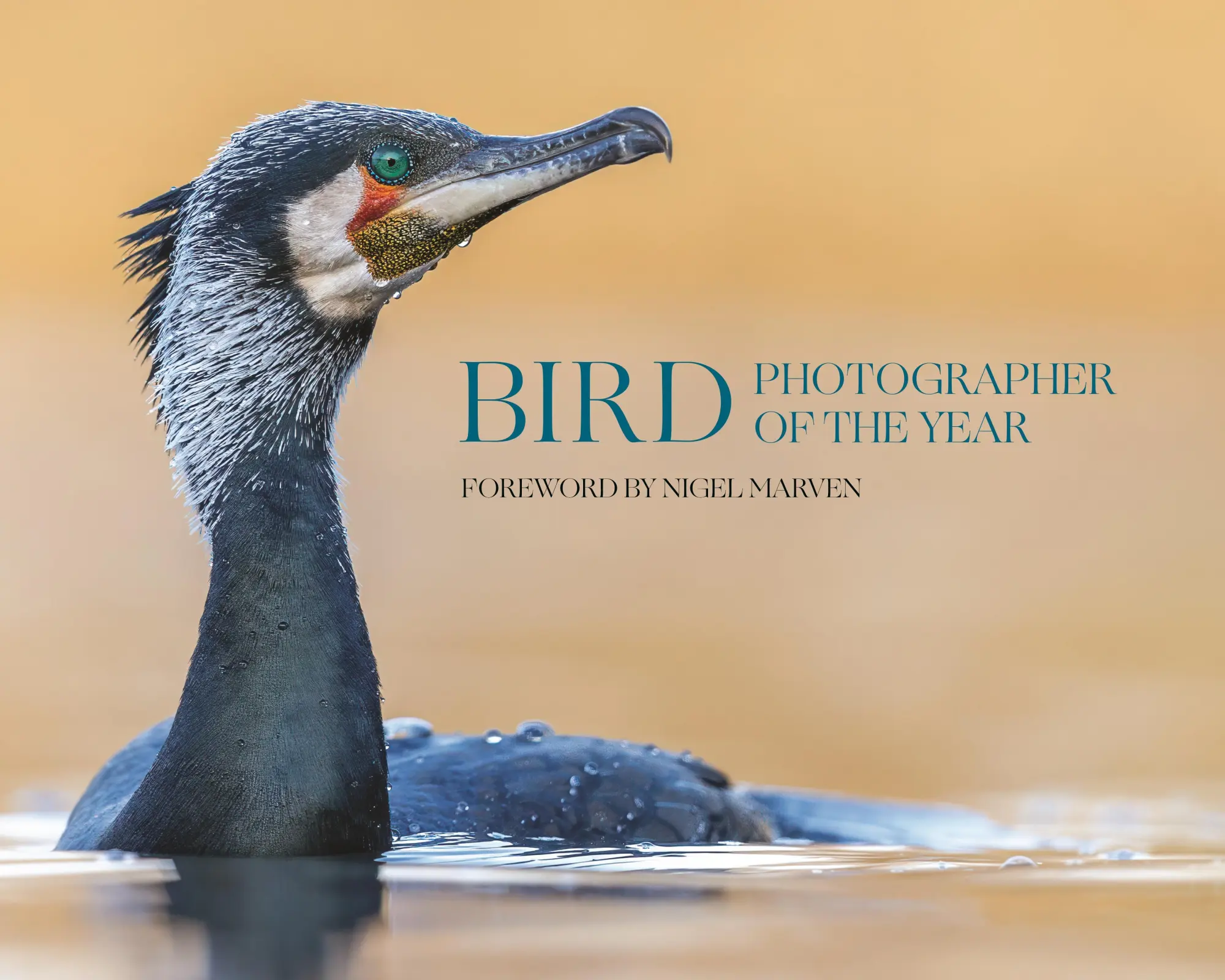Cover: 9780691278674 | Bird Photographer of the Year | Collection 10 | Limited | Buch | 2025