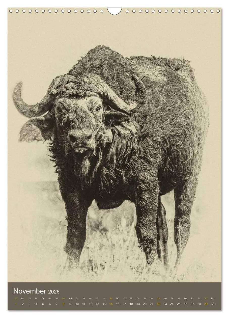Bild: 9783516428674 | Afrikas Tierwelt - Sepia-Art (Wandkalender 2026 DIN A3 hoch),...