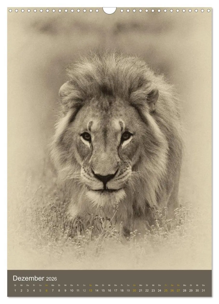 Bild: 9783516428674 | Afrikas Tierwelt - Sepia-Art (Wandkalender 2026 DIN A3 hoch),...