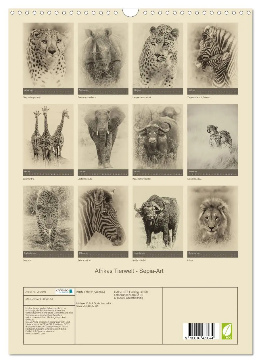 Bild: 9783516428674 | Afrikas Tierwelt - Sepia-Art (Wandkalender 2026 DIN A3 hoch),...