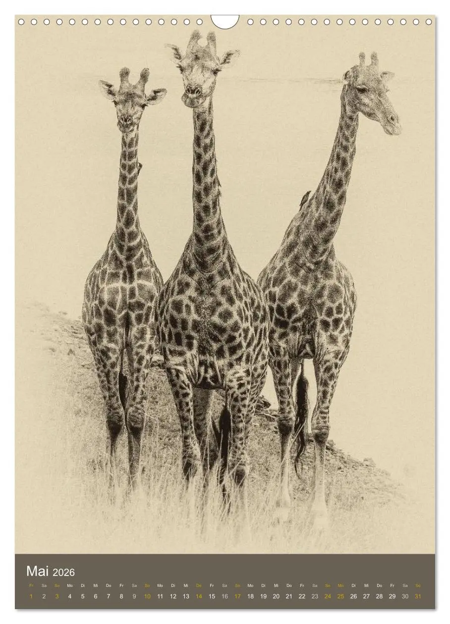 Bild: 9783516428674 | Afrikas Tierwelt - Sepia-Art (Wandkalender 2026 DIN A3 hoch),...