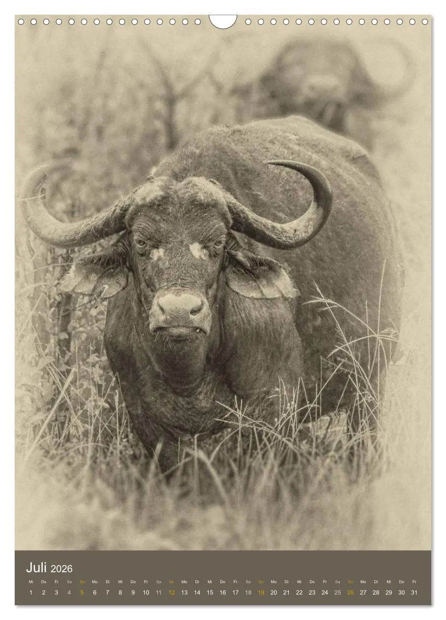 Bild: 9783516428674 | Afrikas Tierwelt - Sepia-Art (Wandkalender 2026 DIN A3 hoch),...