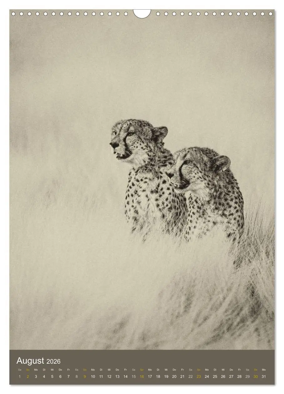 Bild: 9783516428674 | Afrikas Tierwelt - Sepia-Art (Wandkalender 2026 DIN A3 hoch),...