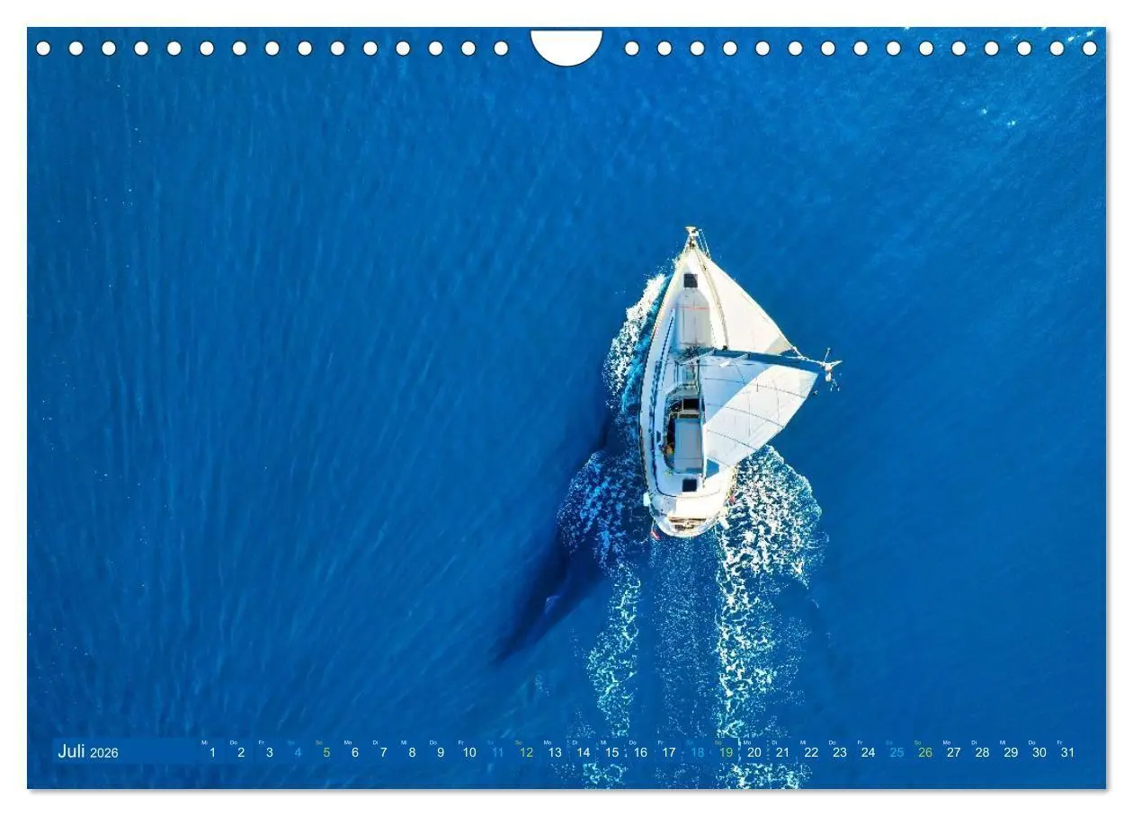 Bild: 9783516738674 | SEGELN - unterwegs mit dem Wind (Wandkalender 2026 DIN A4 quer),...