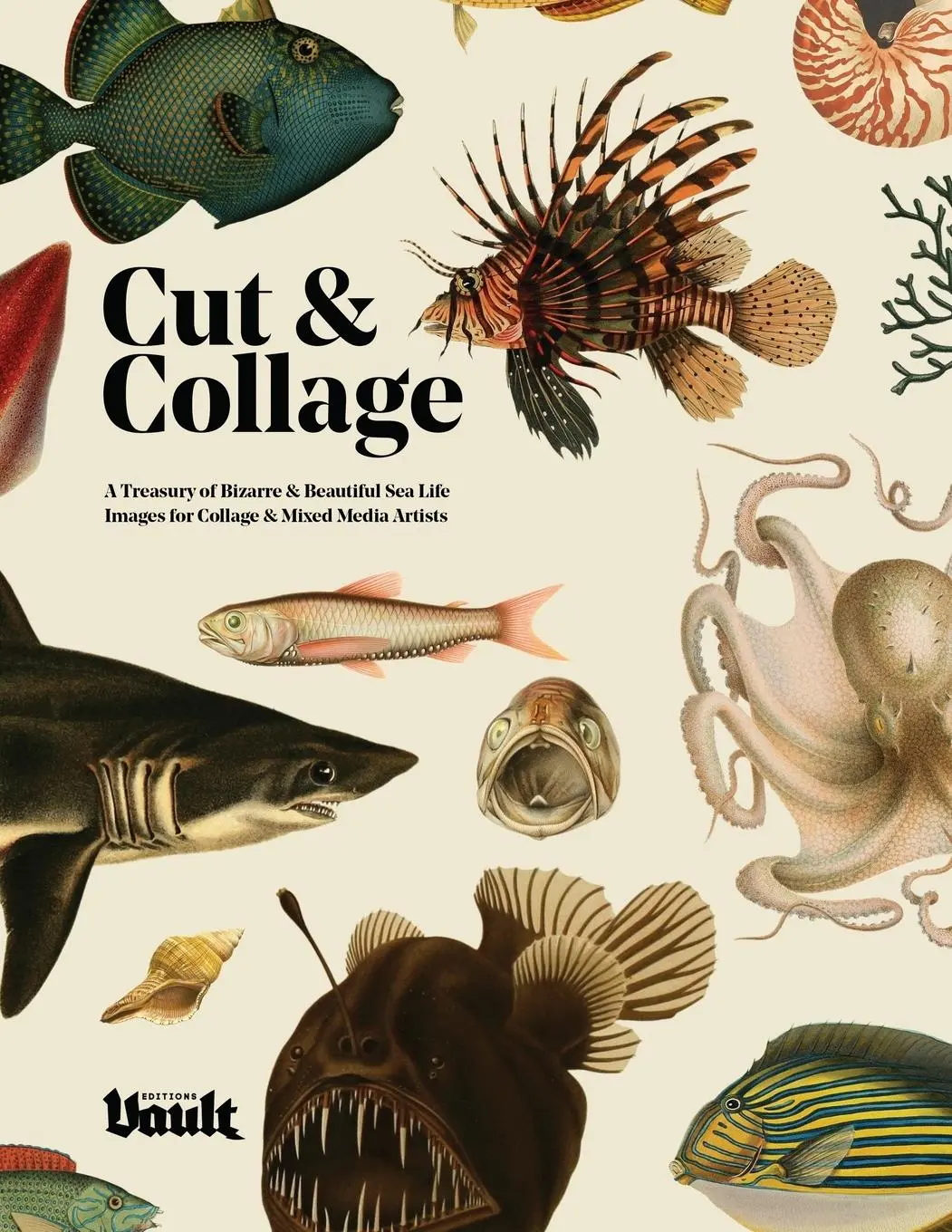 Cover: 9781925968774 | Cut and Collage | Kale James | Taschenbuch | Englisch | 2021