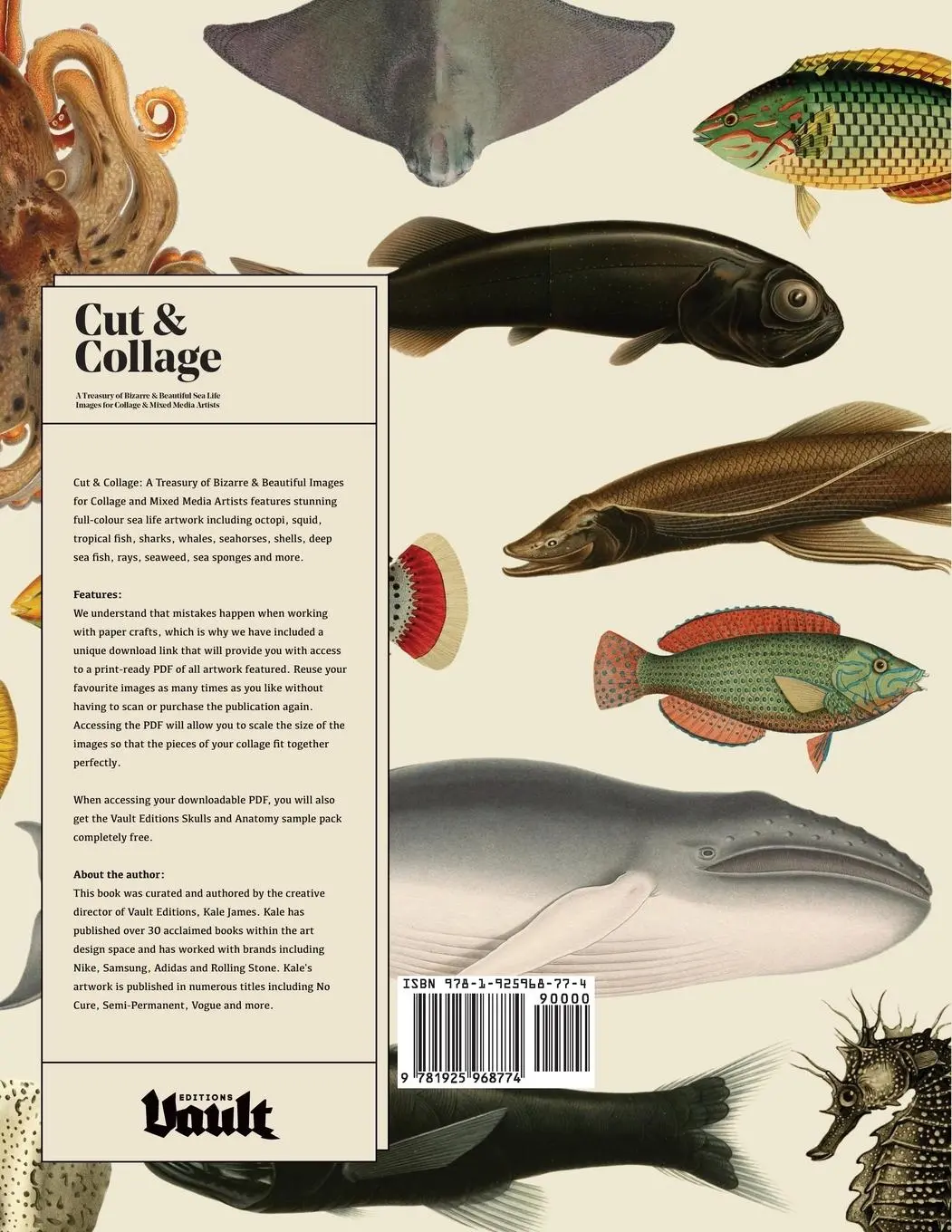 Rückseite: 9781925968774 | Cut and Collage | Kale James | Taschenbuch | Englisch | 2021