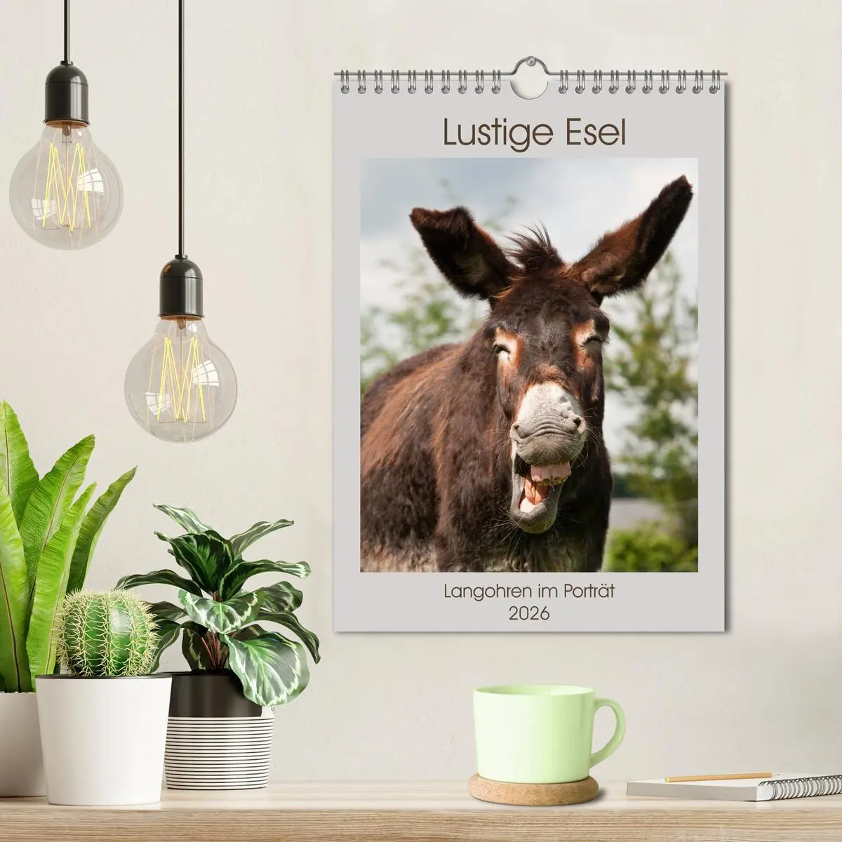 Bild: 9783516418774 | Lustige Esel - Langohren im Porträt (Wandkalender 2026 DIN A4...