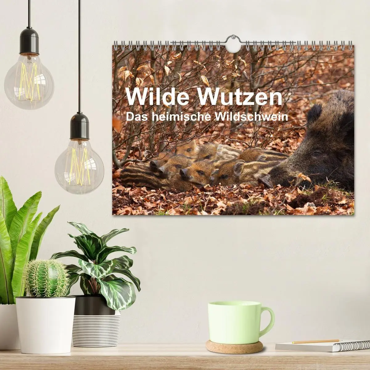 Bild: 9783594018774 | Wilde Wutzen. Das heimische Wildschwein (Wandkalender 2027 DIN A4...