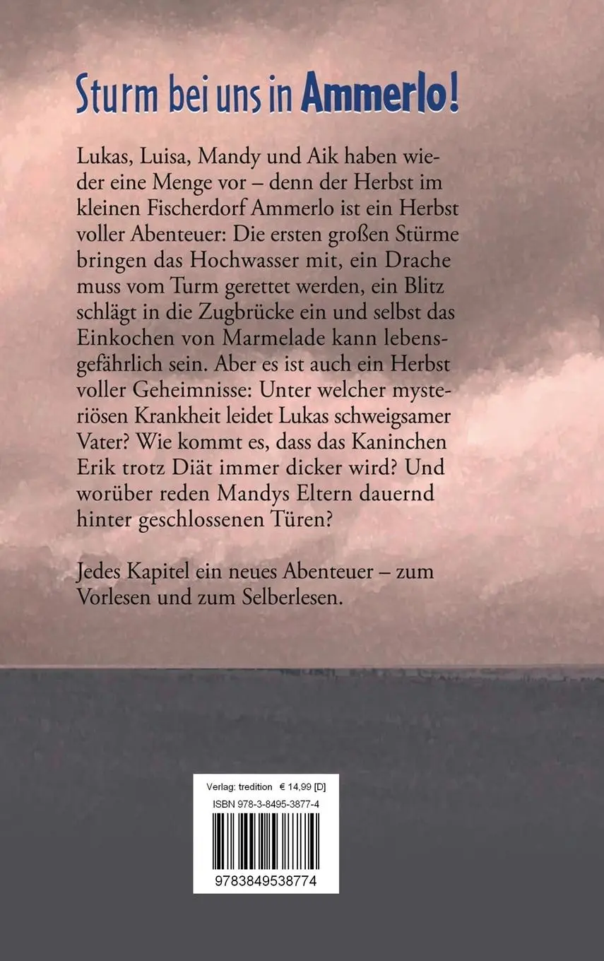 Rückseite: 9783849538774 | Sturm bei uns in Ammerlo! | Antonia Michaelis | Buch | 128 S. | 2013