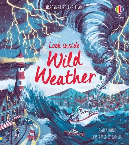 Cover: 9781474968874 | Look Inside Wild Weather | Emily Bone | Buch | Papp-Bilderbuch | 2020
