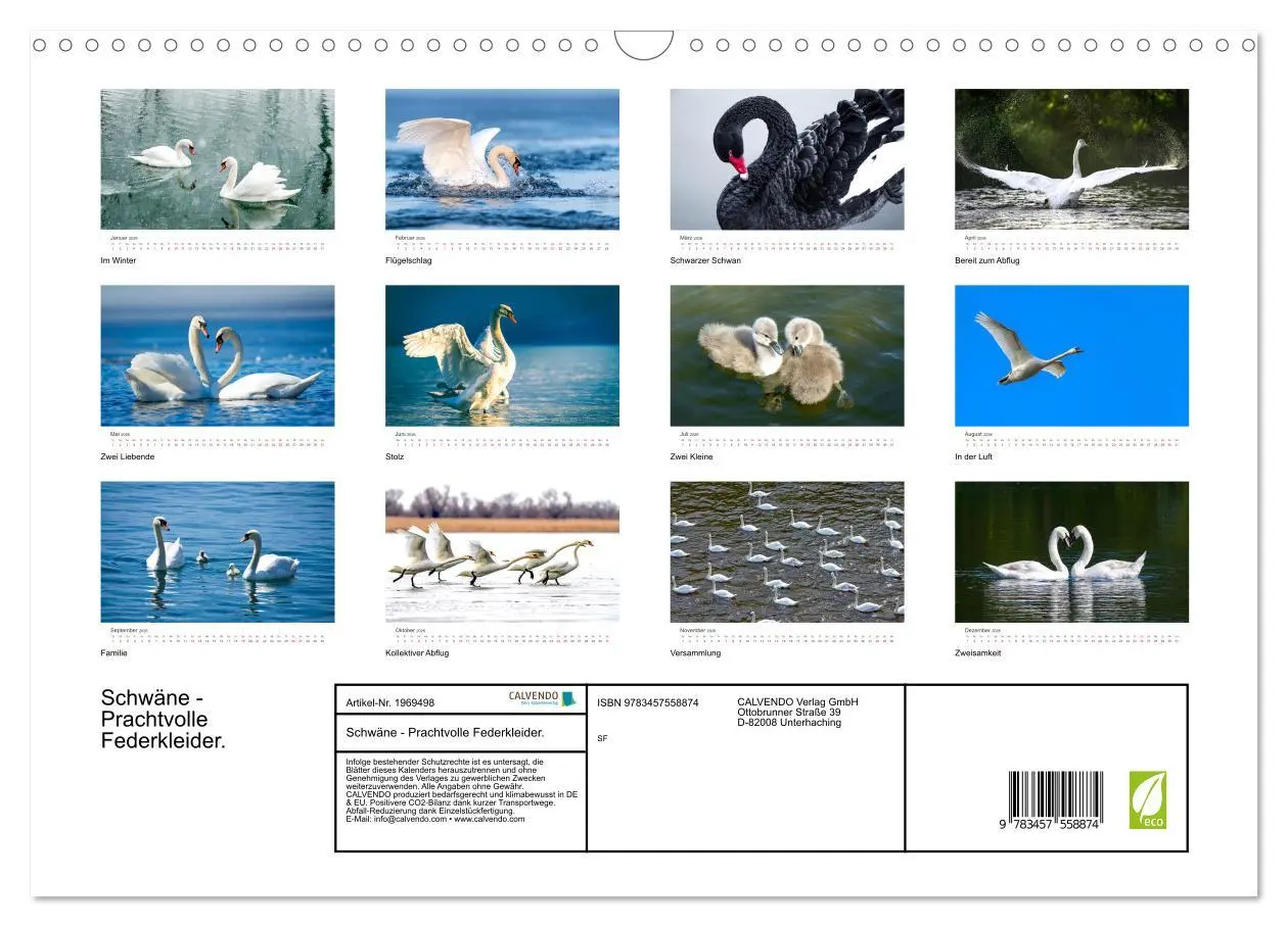 Bild: 9783457558874 | Schwäne - Prachtvolle Federkleider. (Wandkalender 2026 DIN A3...