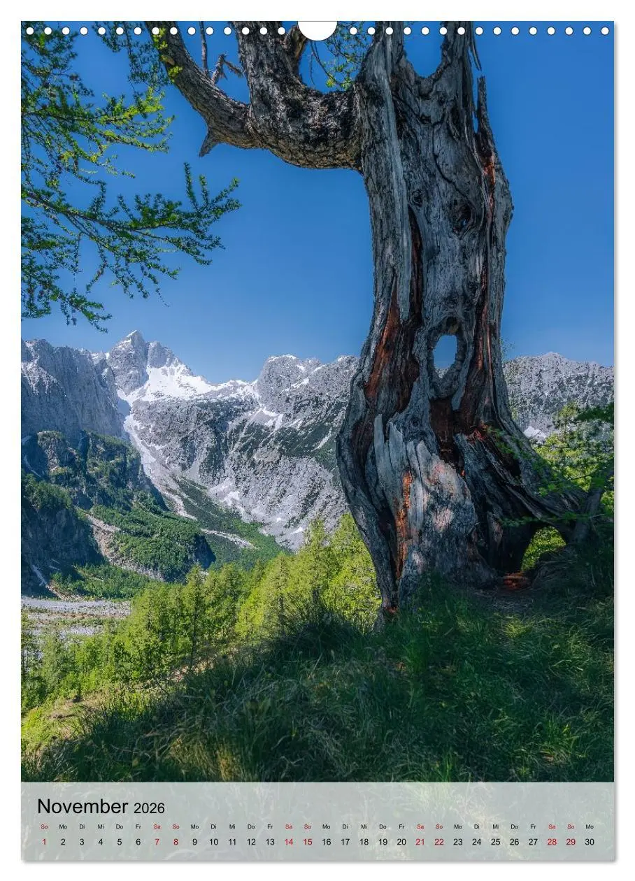 Bild: 9783516648874 | Slowenien - Frühlingsimpressionen (Wandkalender 2026 DIN A3 hoch),...