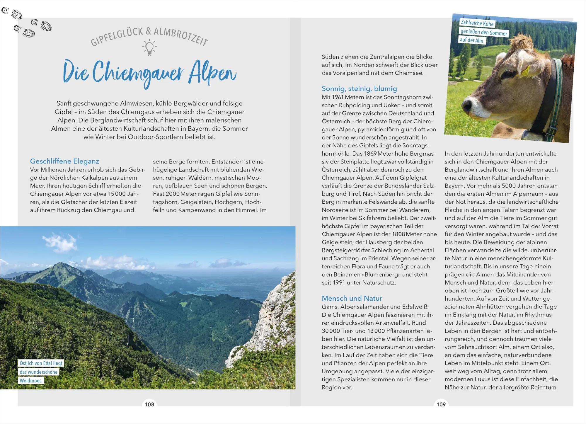 Bild: 9783862468874 | Heimatperlen Chiemgau | Kerstin Riemer | Taschenbuch | 192 S. | 2025