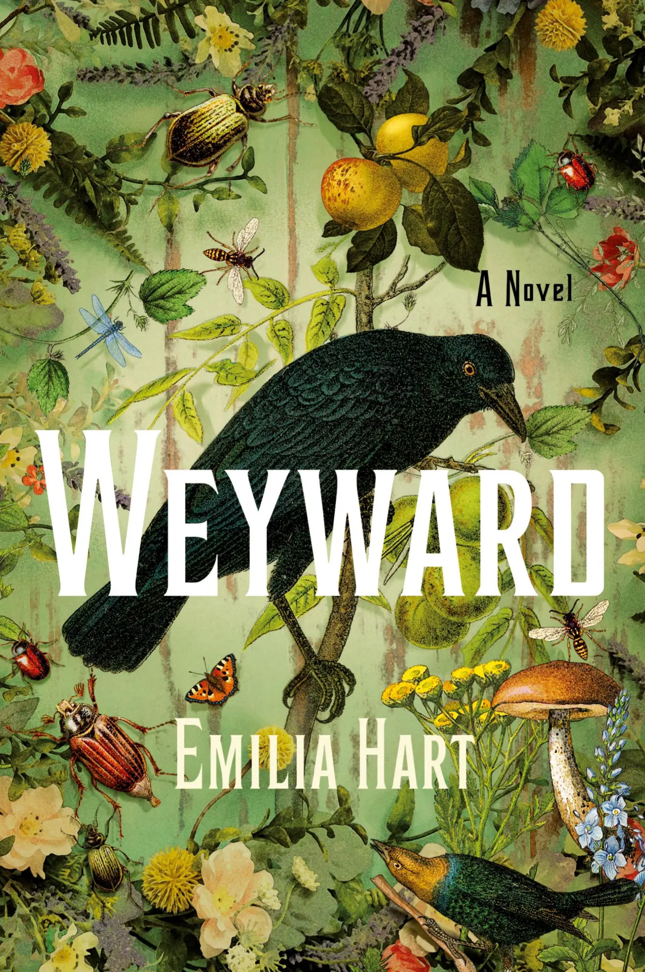 Cover: 9781250288974 | Weyward | Emilia Hart | Taschenbuch | Englisch | 2023 | SMP Trade