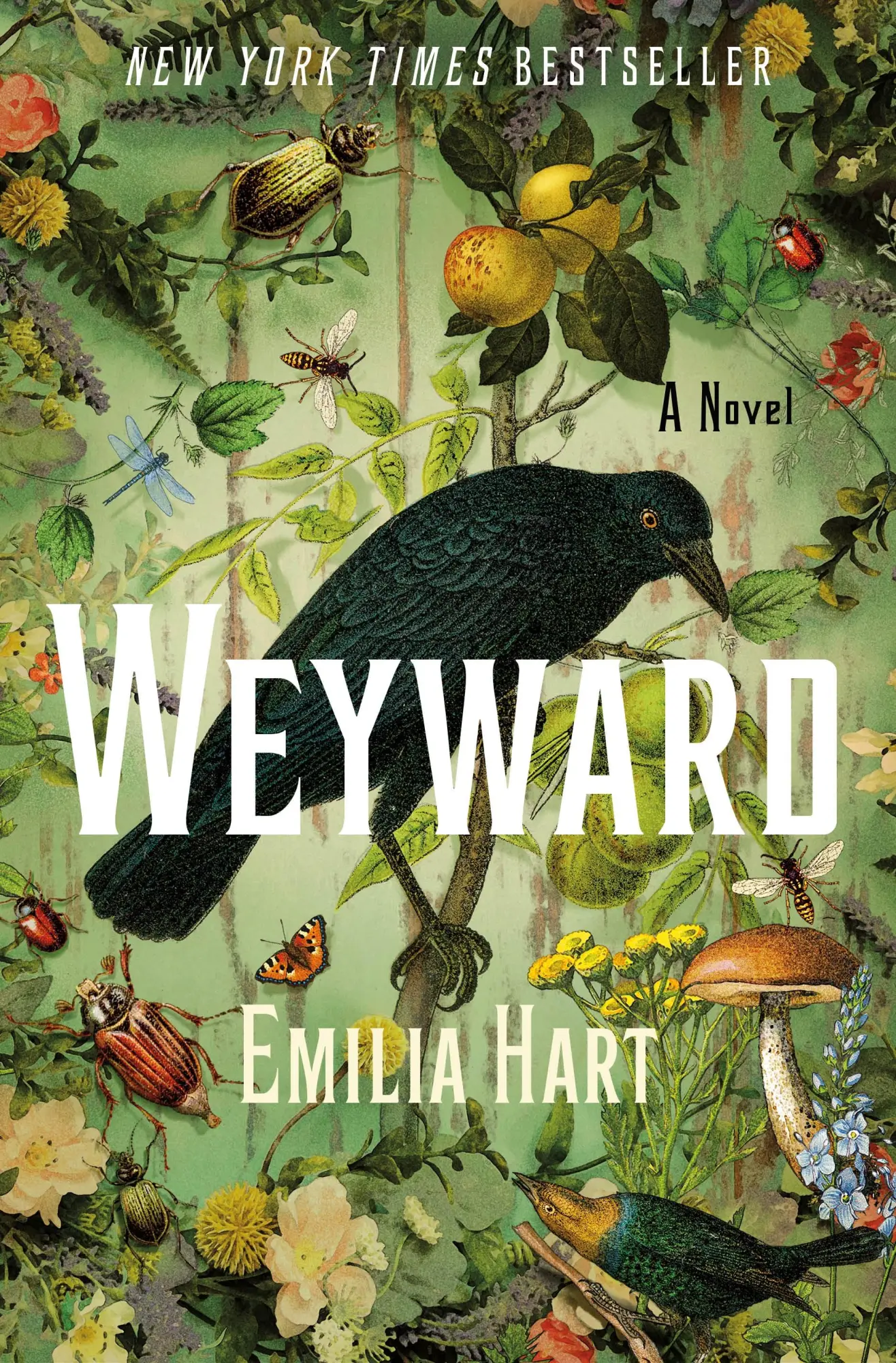 Autor: 9781250288974 | Weyward | Emilia Hart | Taschenbuch | Englisch | 2023 | SMP Trade
