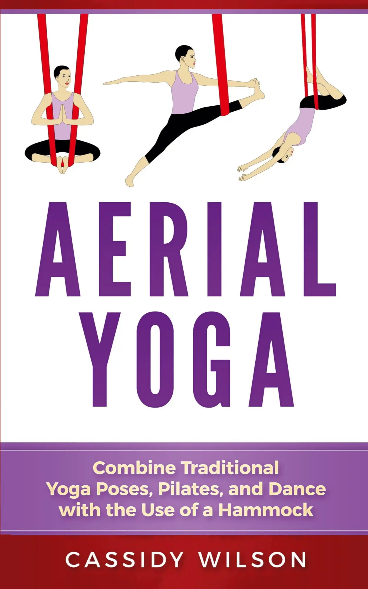 Cover: 9781951339074 | Aerial Yoga | Cassidy Wilson | Taschenbuch | Kartoniert / Broschiert