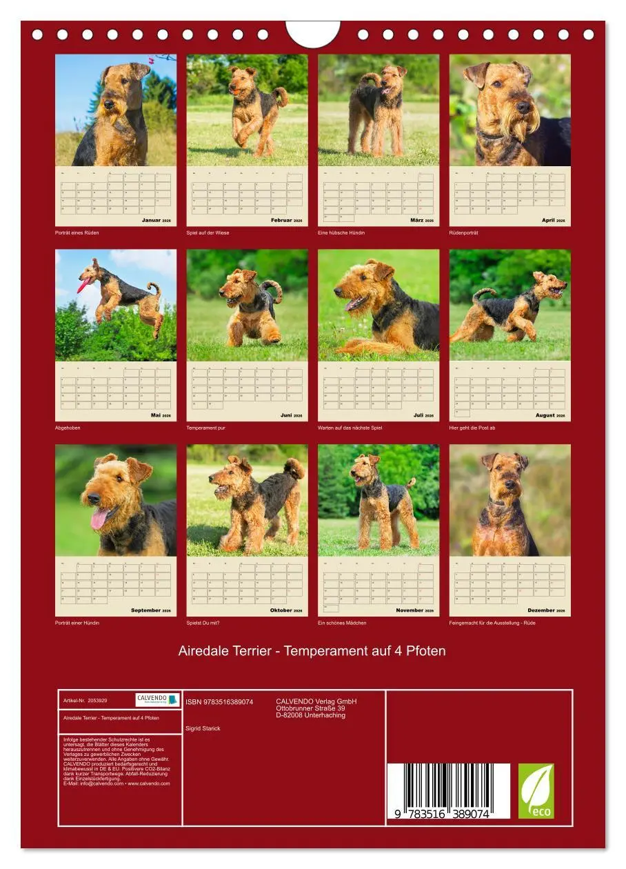 Bild: 9783516389074 | Airedale Terrier - Temperament auf 4 Pfoten (Wandkalender 2026 DIN...