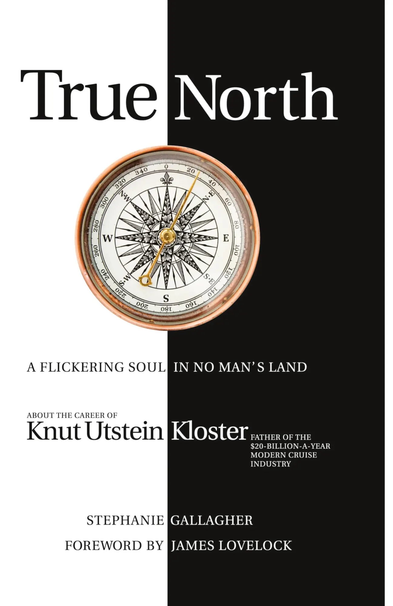 Cover: 9781440179174 | True North | Stephanie Gallagher | Taschenbuch | Englisch | 2009