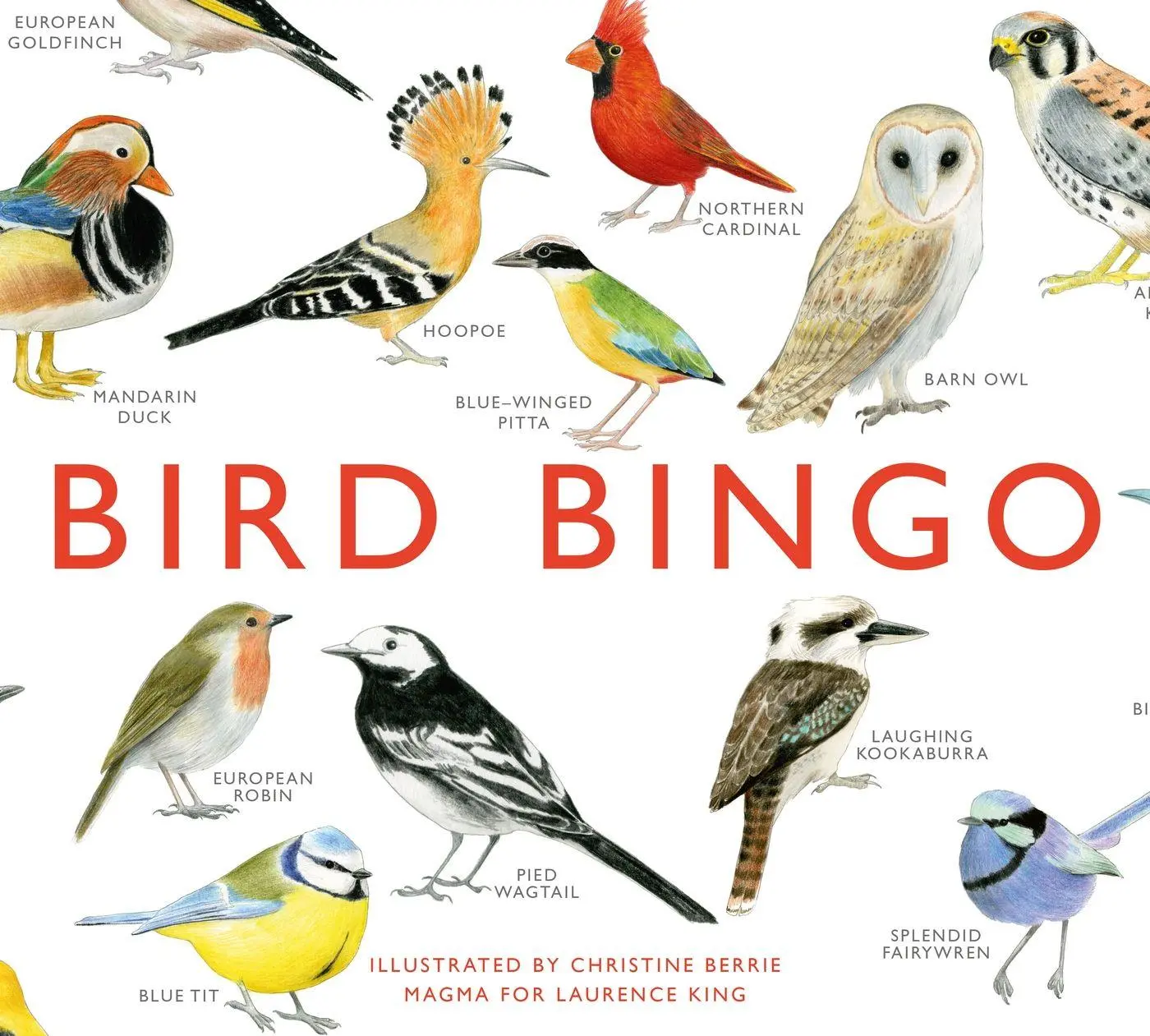 Cover: 9781856699174 | Bird Bingo | Christine Berrie | Spiel | Schachtel | 64 S. | Englisch