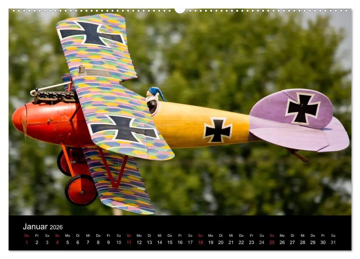 Bild: 9783516139174 | Modellflieger (hochwertiger Premium Wandkalender 2026 DIN A2 quer),...