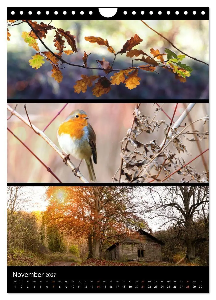 Bild: 9783569469174 | Bezaubernde Farben der Natur (Wandkalender 2027 DIN A4 hoch),...