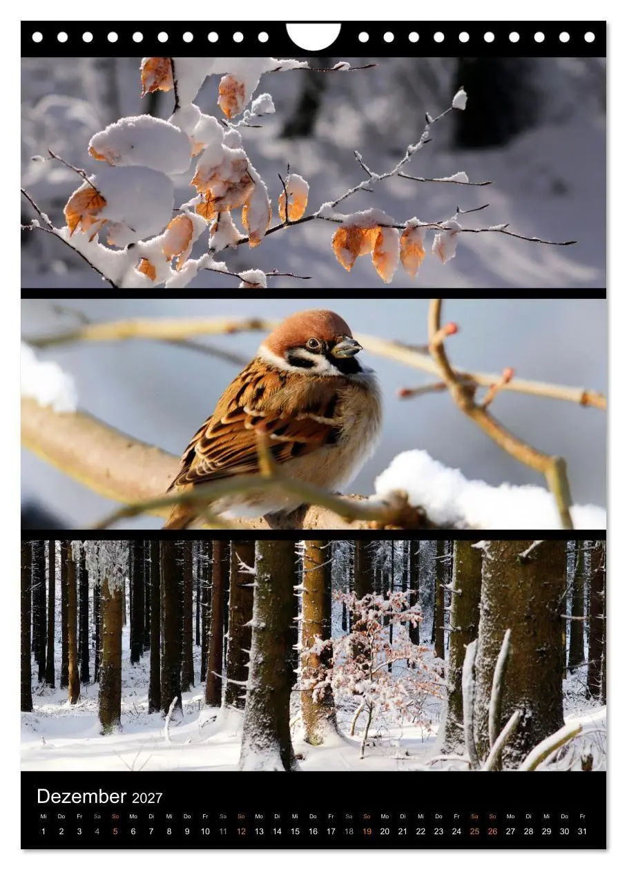 Bild: 9783569469174 | Bezaubernde Farben der Natur (Wandkalender 2027 DIN A4 hoch),...