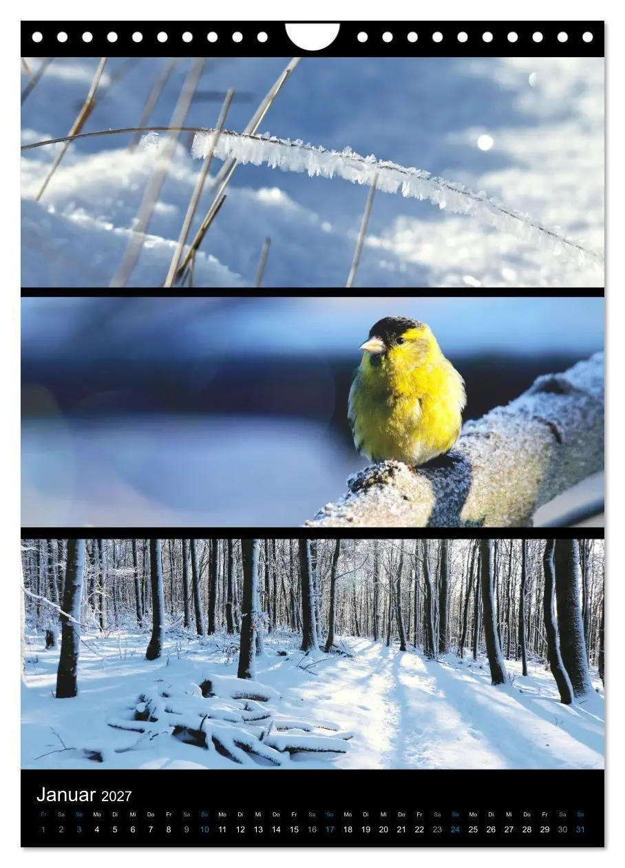 Bild: 9783569469174 | Bezaubernde Farben der Natur (Wandkalender 2027 DIN A4 hoch),...
