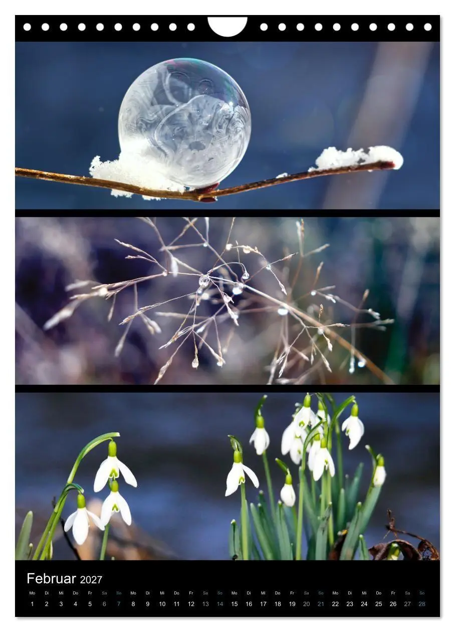 Bild: 9783569469174 | Bezaubernde Farben der Natur (Wandkalender 2027 DIN A4 hoch),...