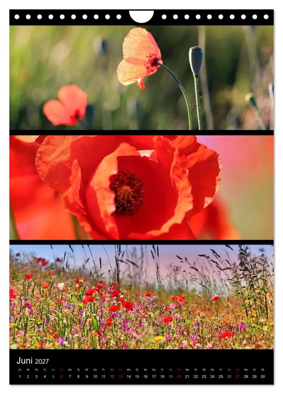 Bild: 9783569469174 | Bezaubernde Farben der Natur (Wandkalender 2027 DIN A4 hoch),...