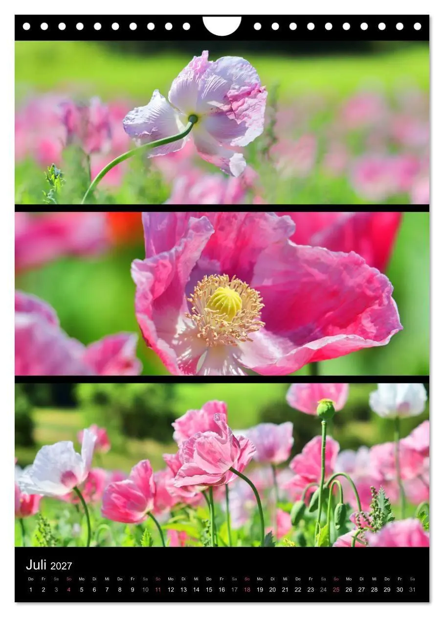 Bild: 9783569469174 | Bezaubernde Farben der Natur (Wandkalender 2027 DIN A4 hoch),...