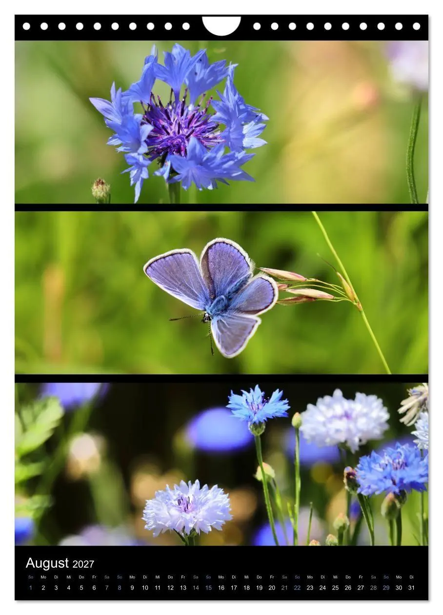 Bild: 9783569469174 | Bezaubernde Farben der Natur (Wandkalender 2027 DIN A4 hoch),...