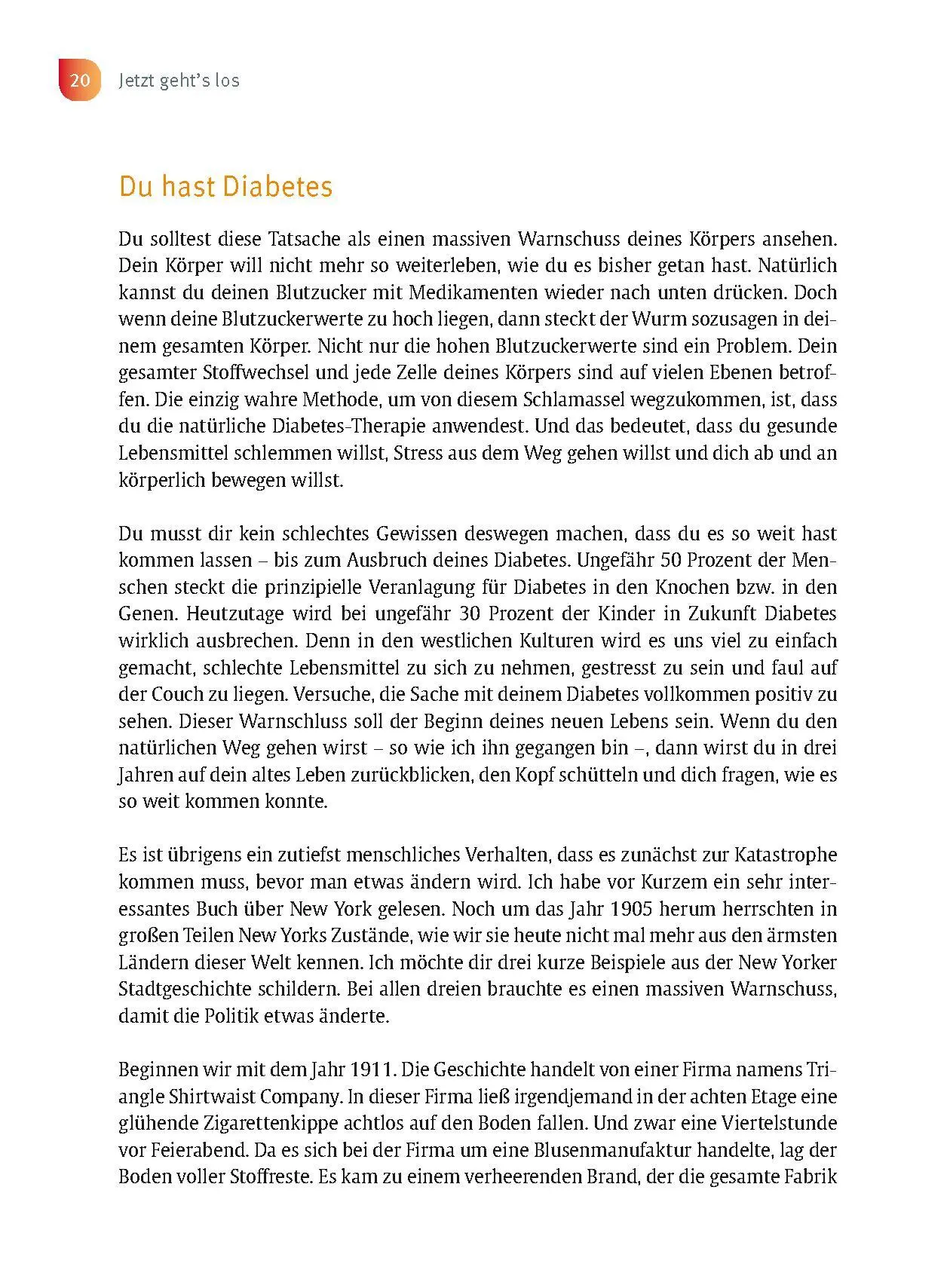 Bild: 9783432119274 | Der Anti-Diabetes-Plan - Das Praxisbuch | Rainer Limpinsel | Buch